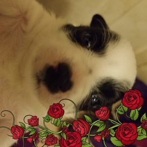 Meet your Posher, Katelynn